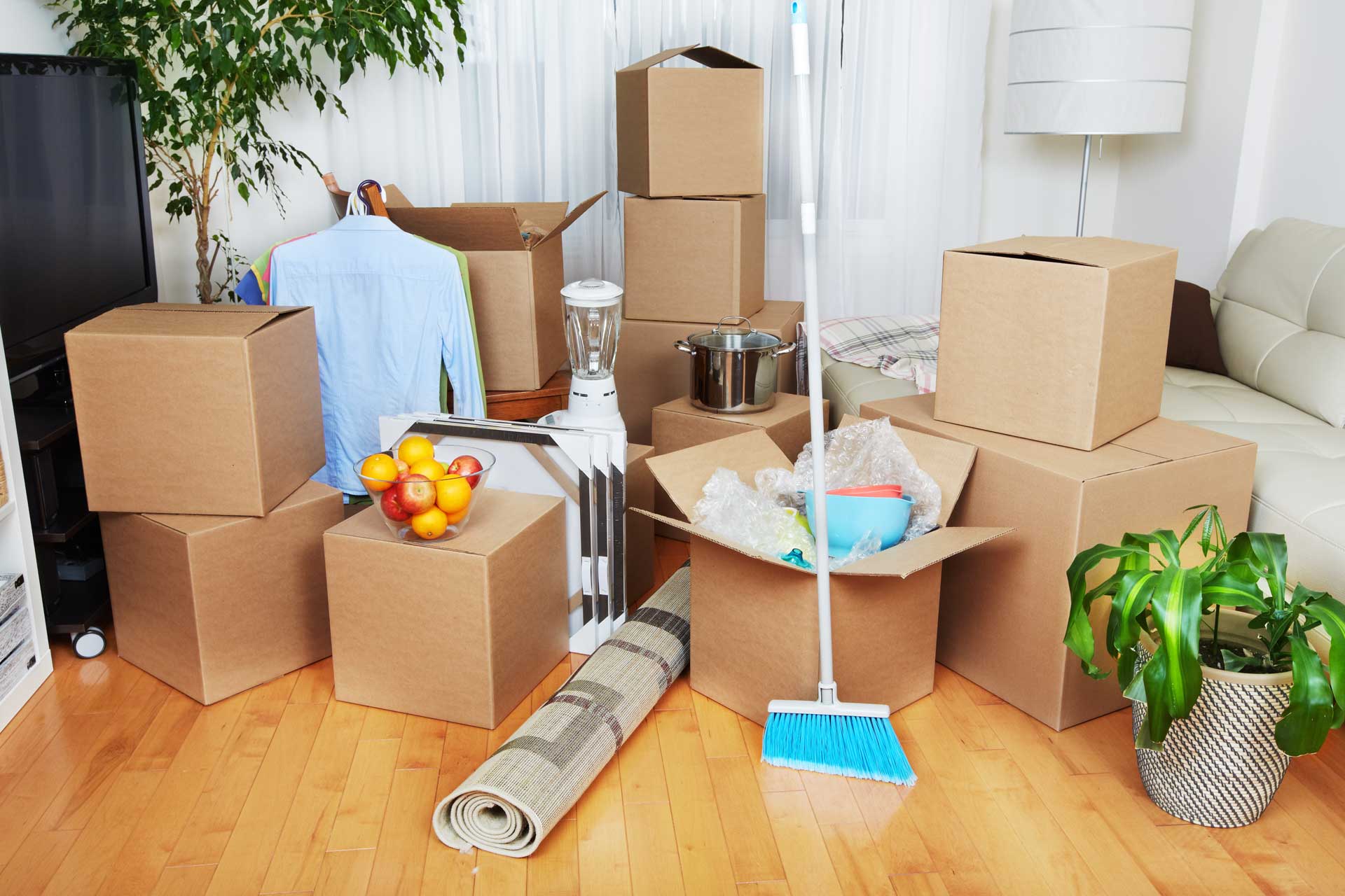 move-out-cleaning-services